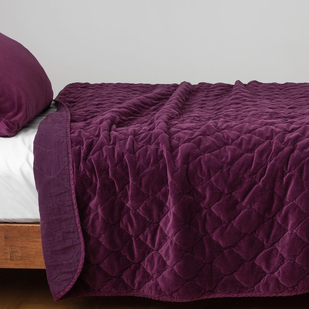 Bella Notte Harlow Coverlet Quilts & Coverlets Bella Notte   