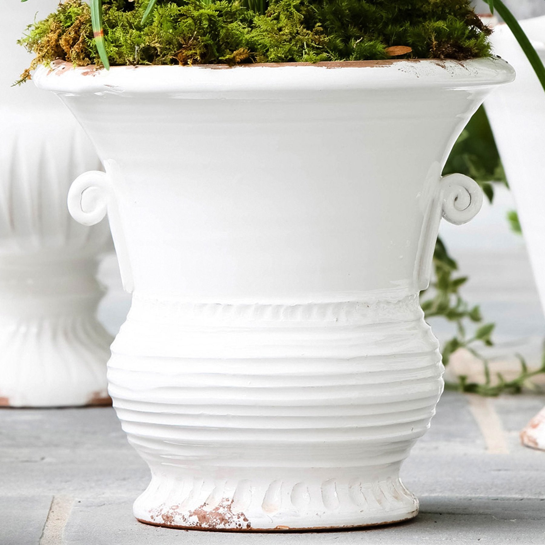large rustic planter pots Vietri Rustic Garden White Medium Flair Planter