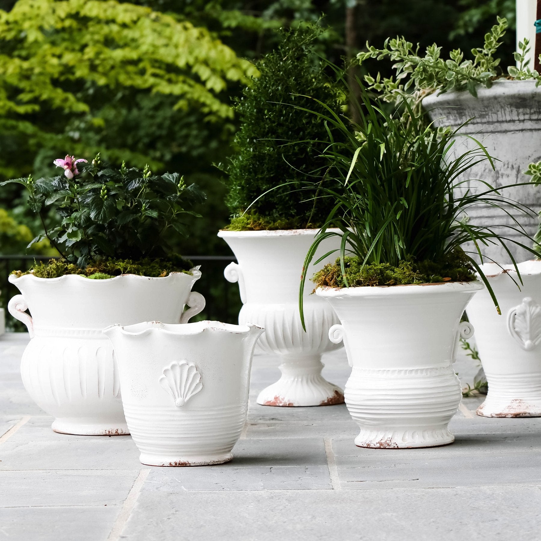 rustic ceramic plant pots Vietri Rustic Garden White Medium Flair Planter