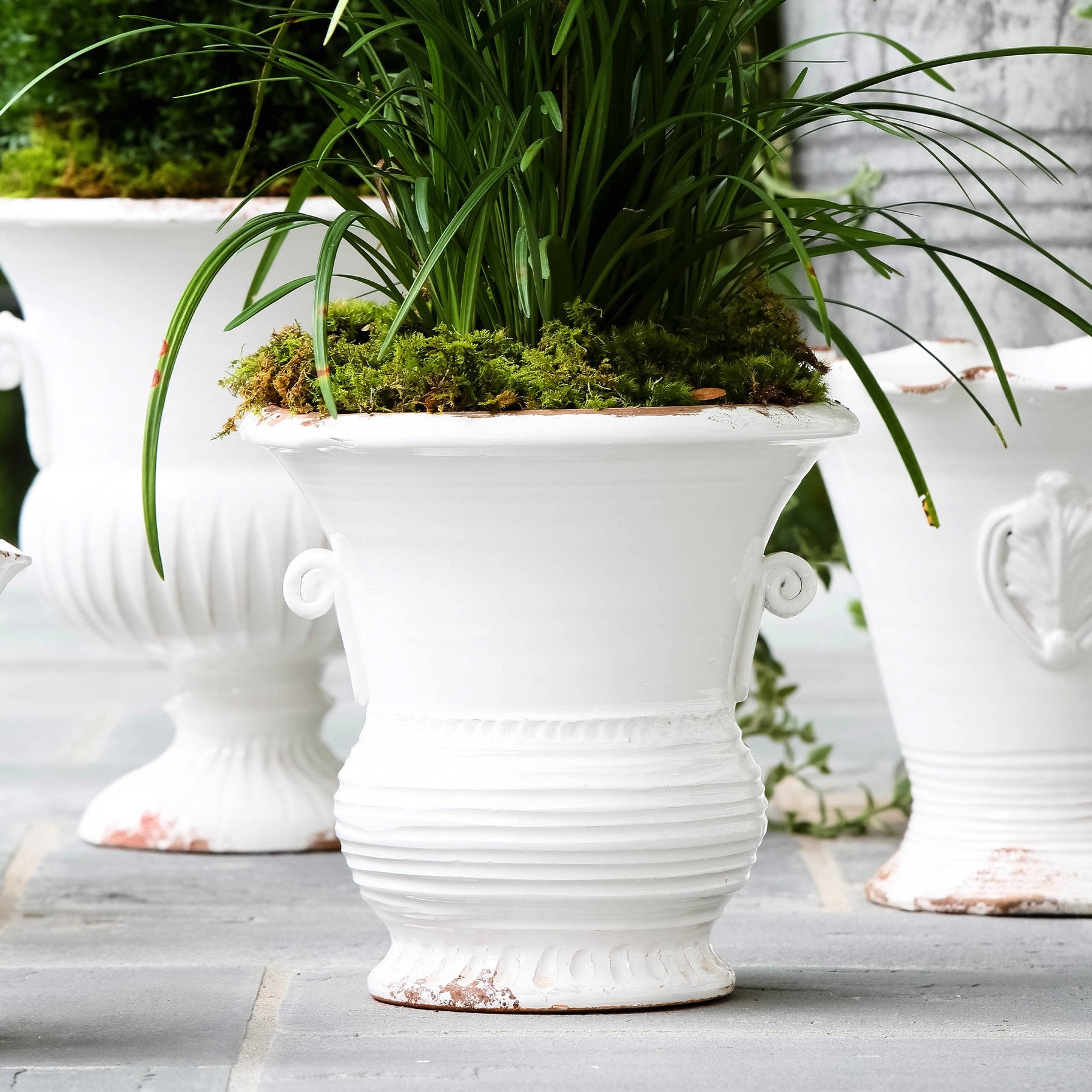 cheapest plant pots Vietri Rustic Garden White Medium Flair Planter