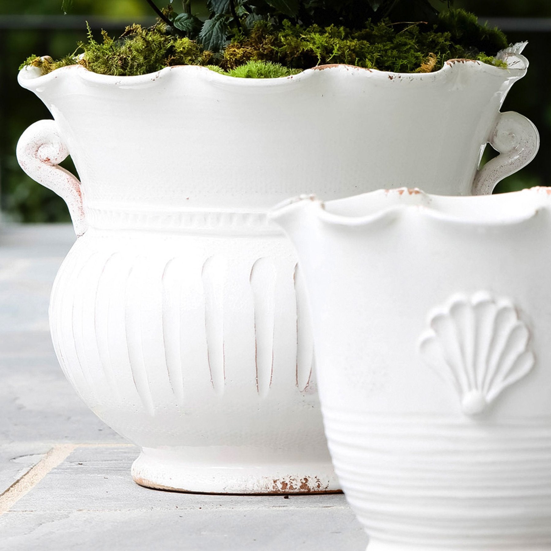 large rustic plant pots Rustic Garden White Large Scallop Planter