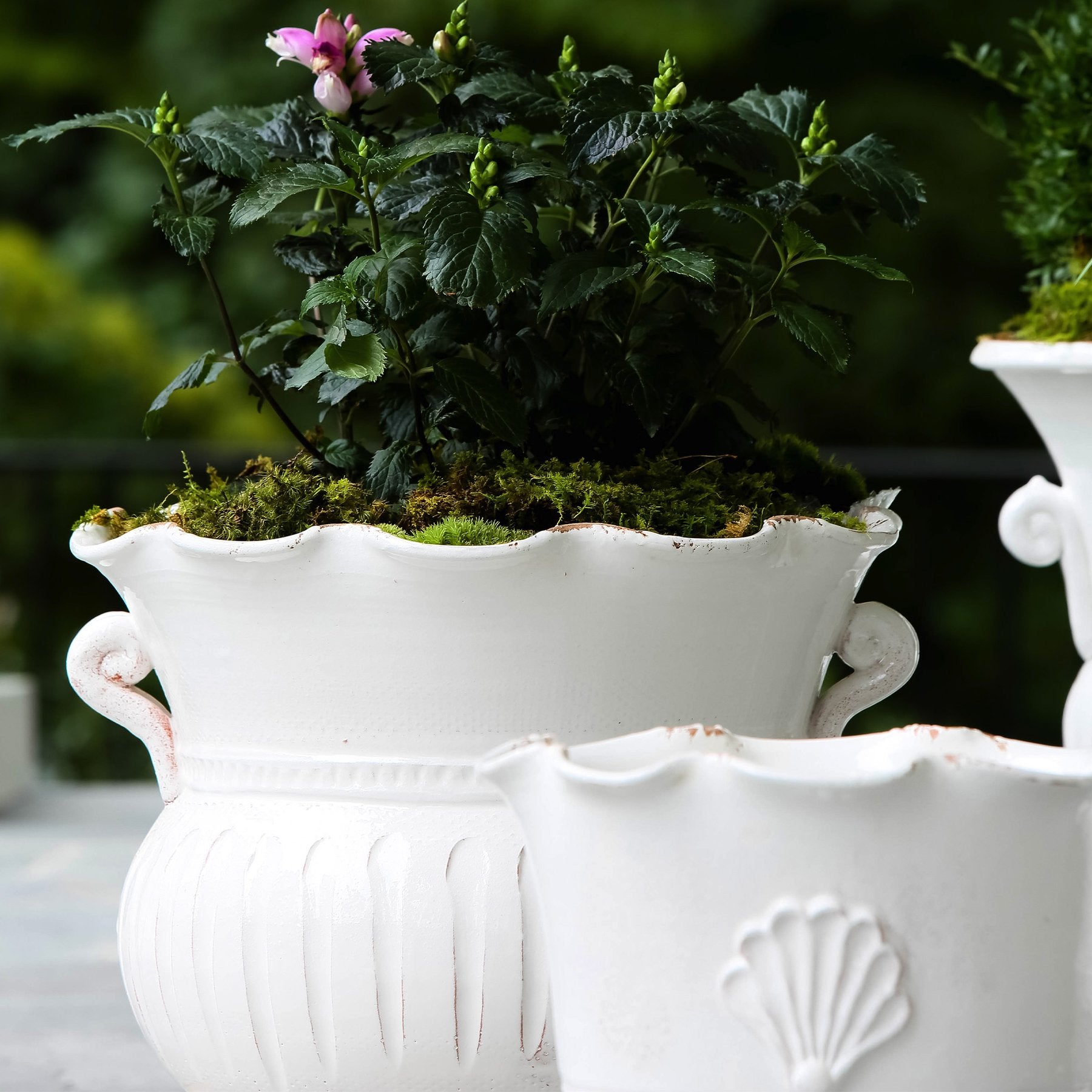 large outdoor plant pots ceramic Rustic Garden White Large Scallop Planter